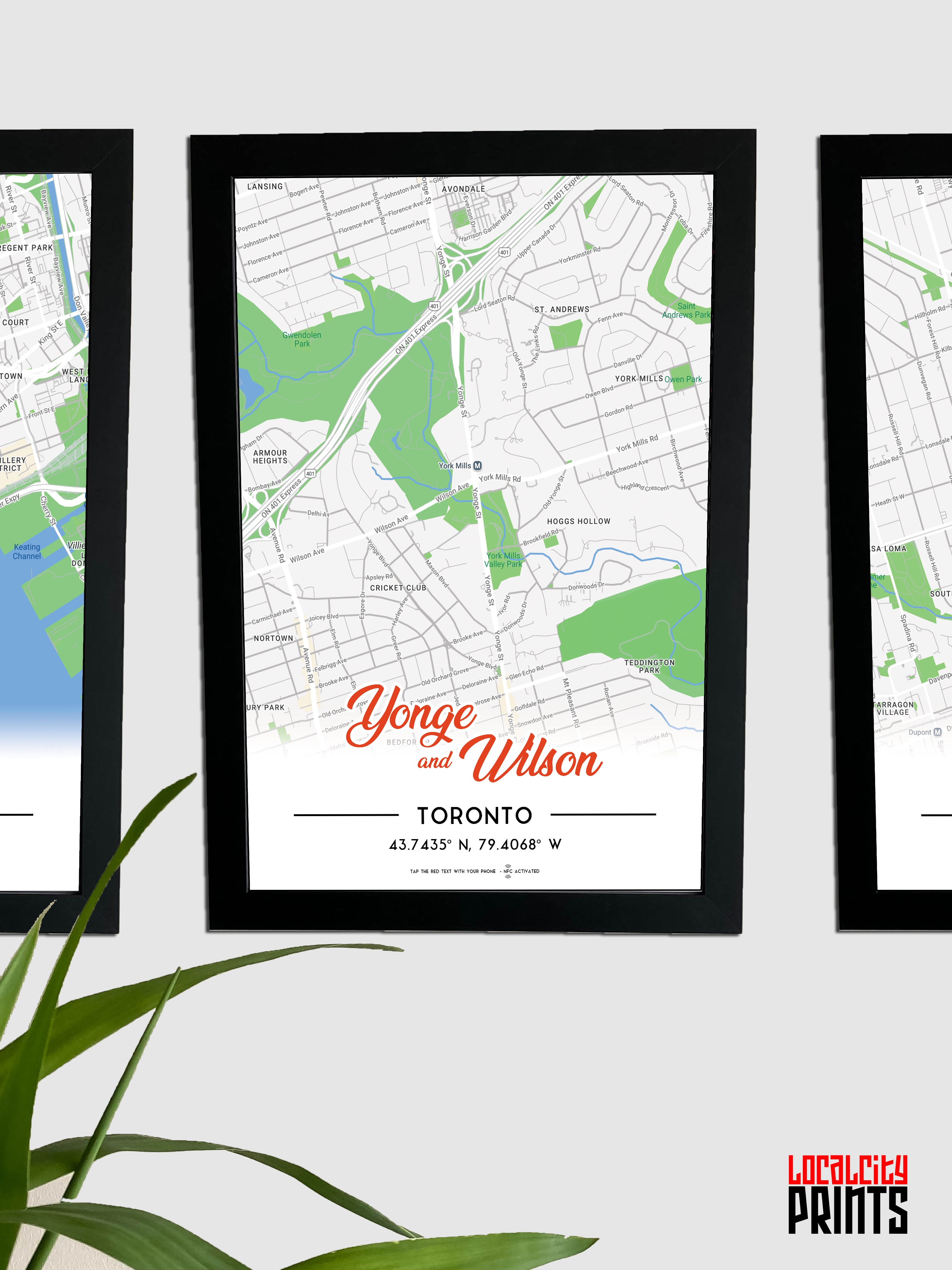 Yonge & Wilson Map NFC Poster