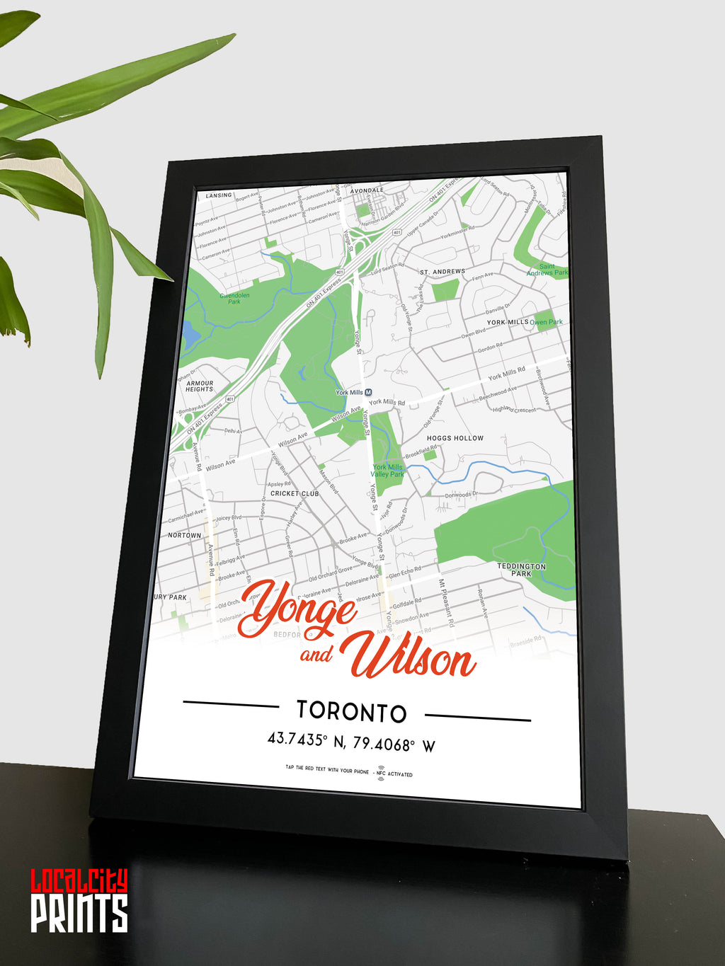 Yonge & Wilson Map NFC Poster