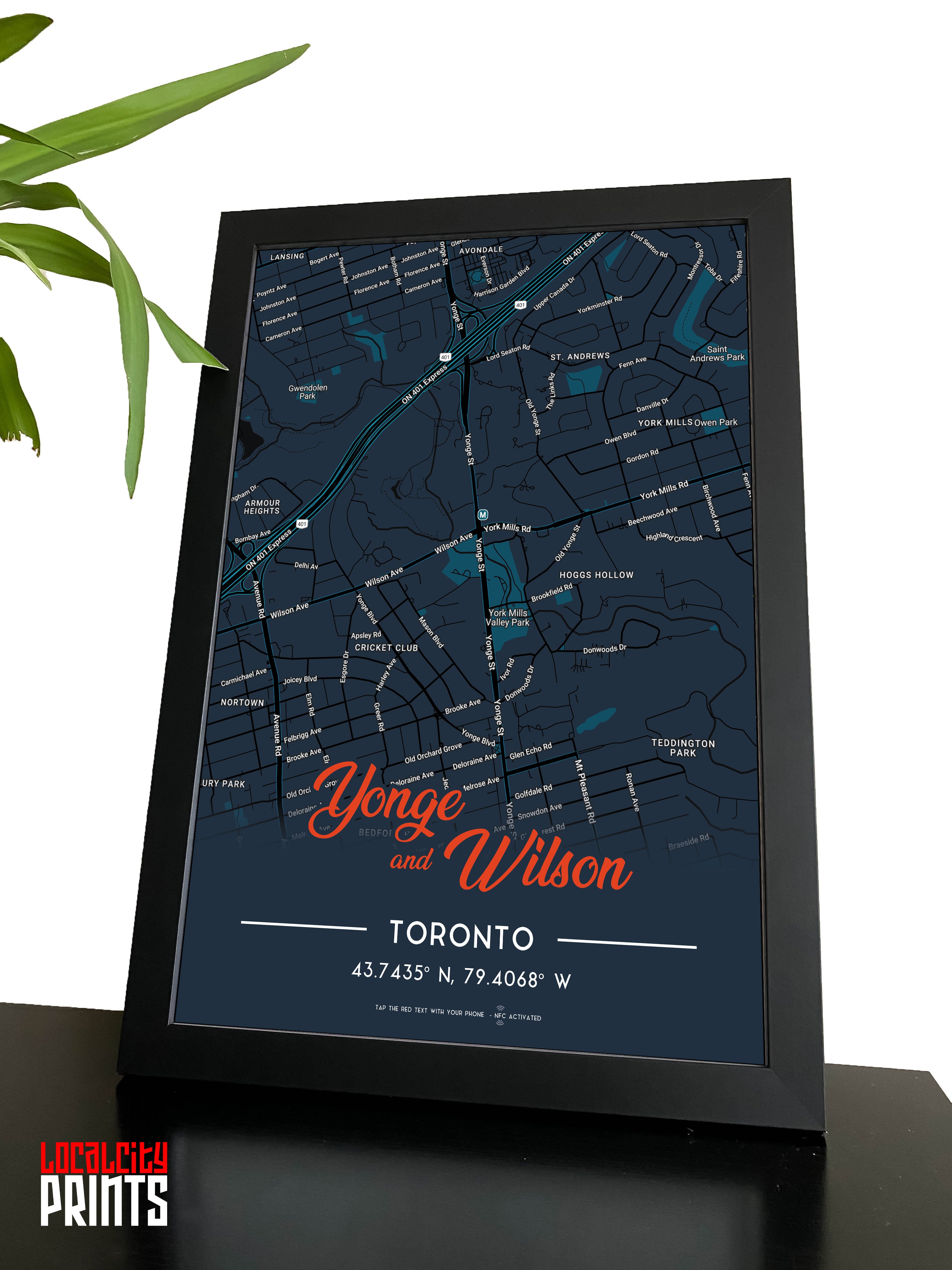 Yonge & Wilson Map NFC Poster - Dark Theme