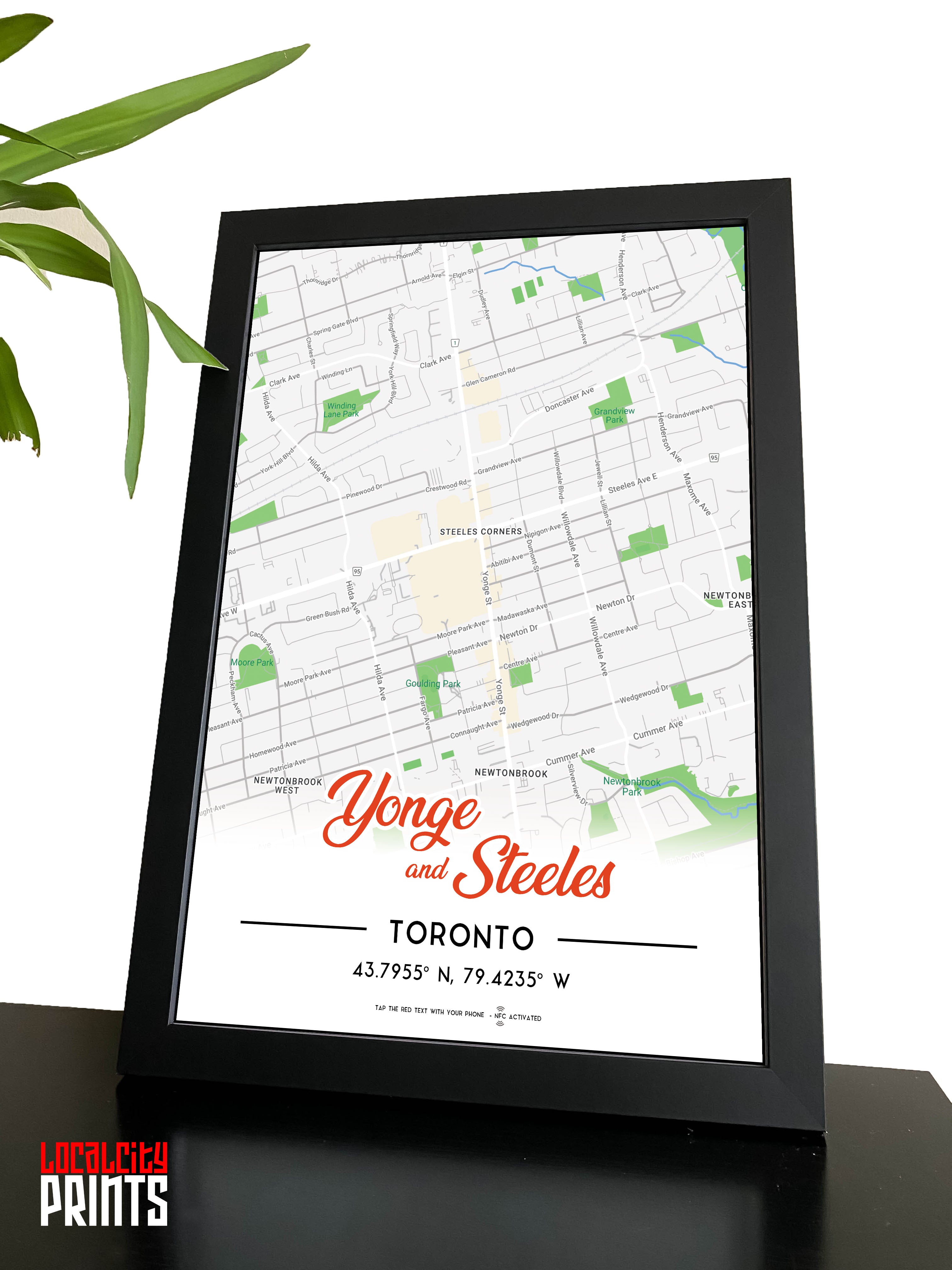Yonge & Steeles Map NFC Poster